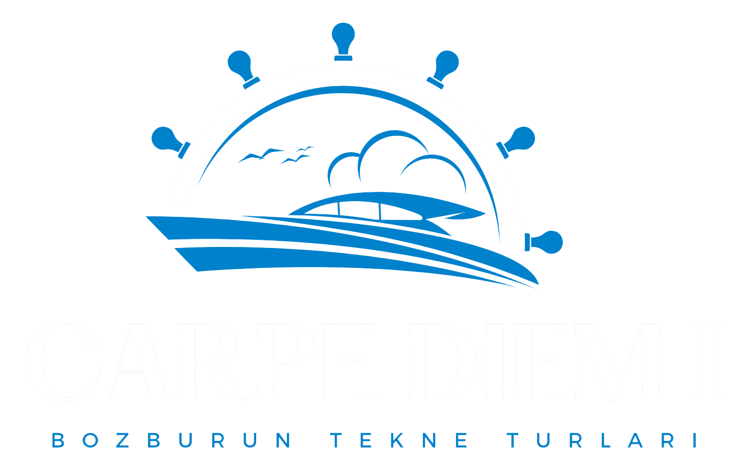 logo beyaz